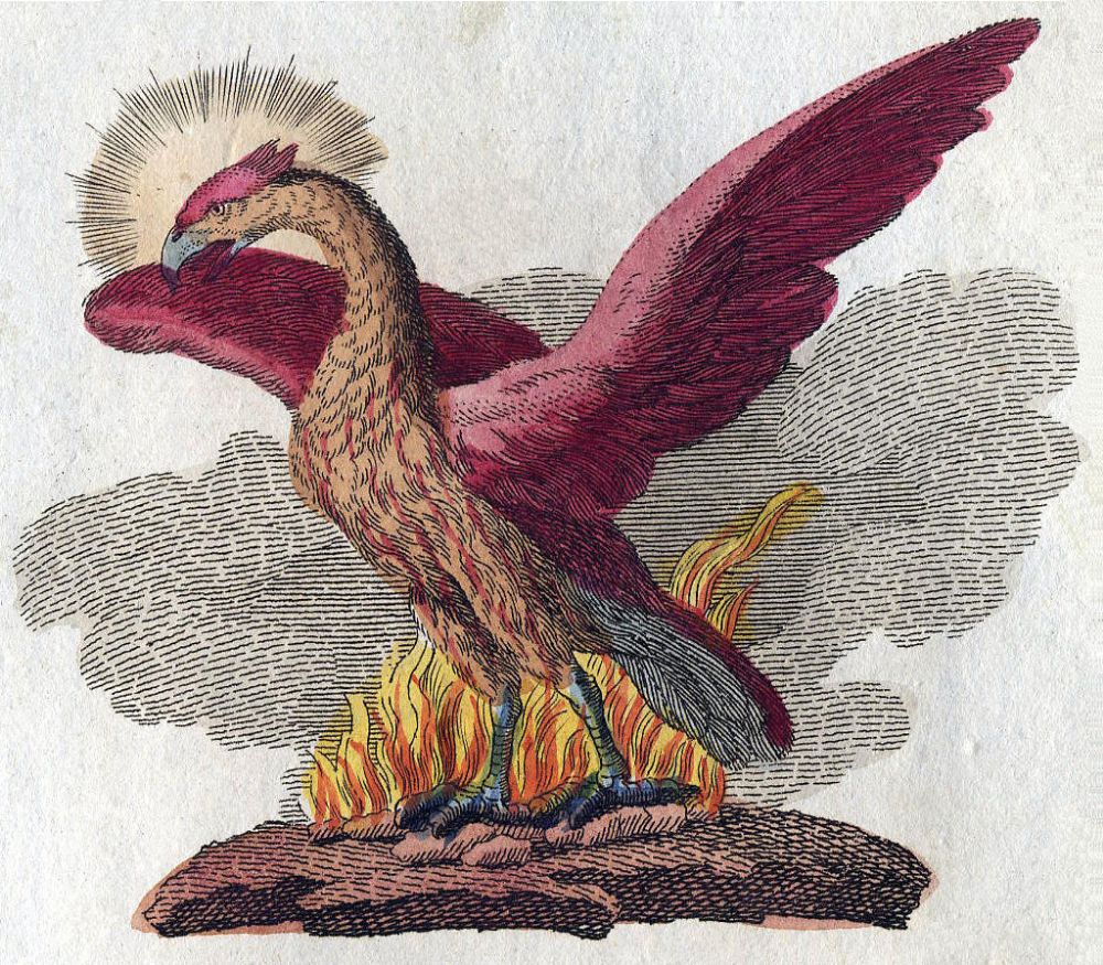 A phoenix